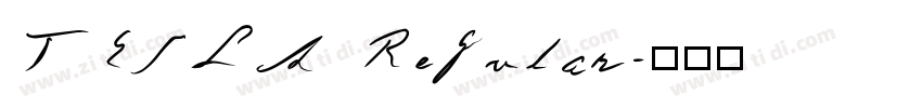 TESLA Regular字体转换